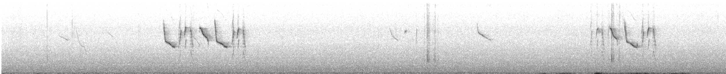 Chestnut-rumped Thornbill - ML638611922