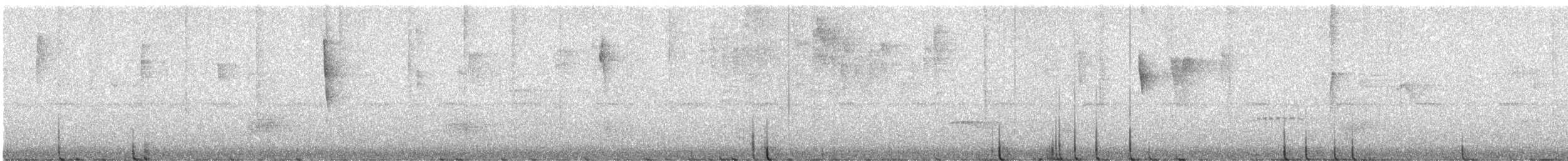 Variegated Bristle-Tyrant - ML638612935