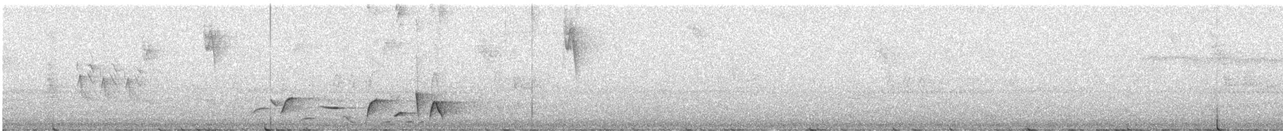 Gray-breasted Wood-Wren (Andean) - ML638613001