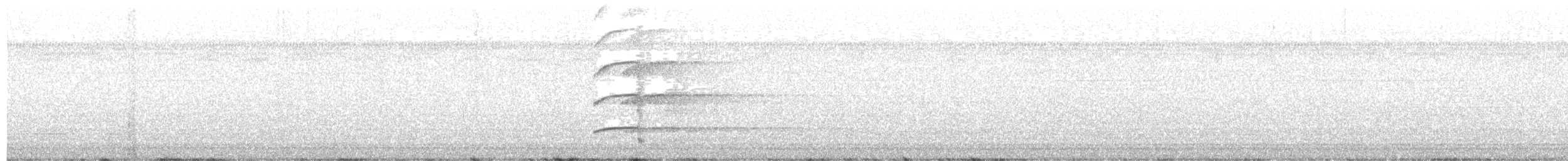 Giant Wood-Rail - ML638613344