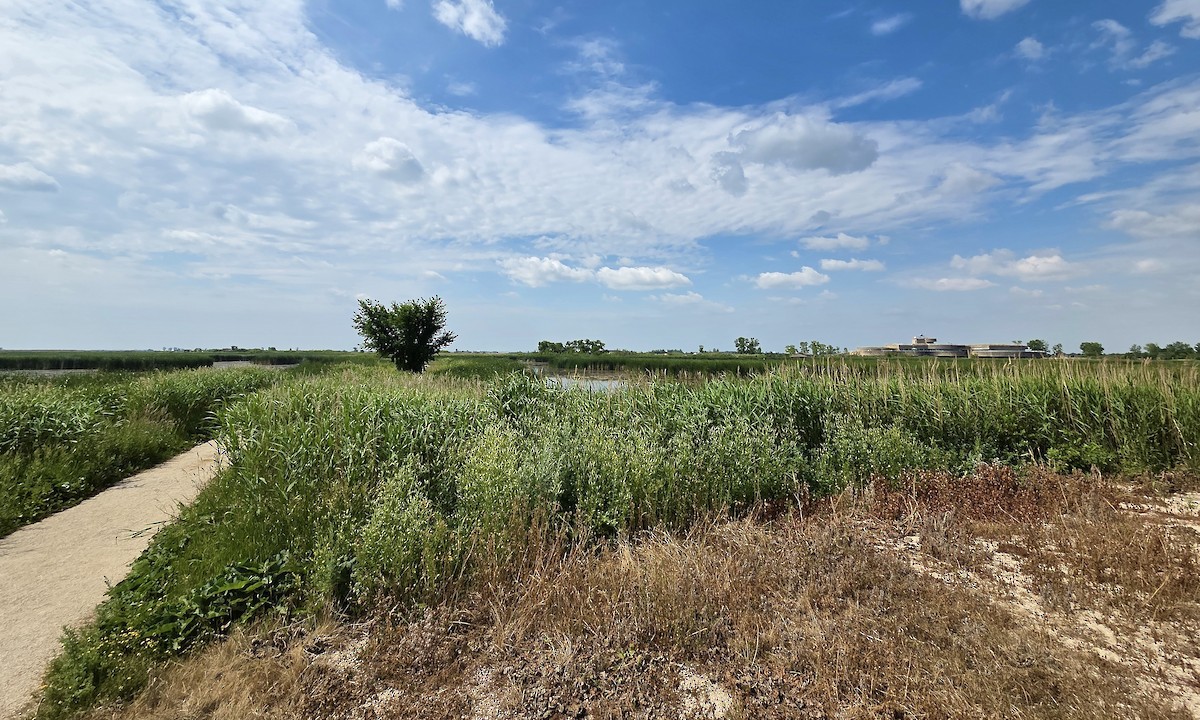 null - ML638614448