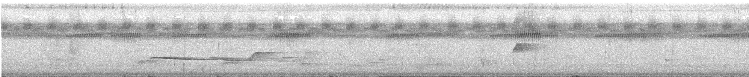 Olivaceous Schiffornis - ML638614719