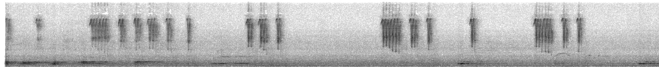 Merle à dos roux (rufopalliatus) - ML638614725