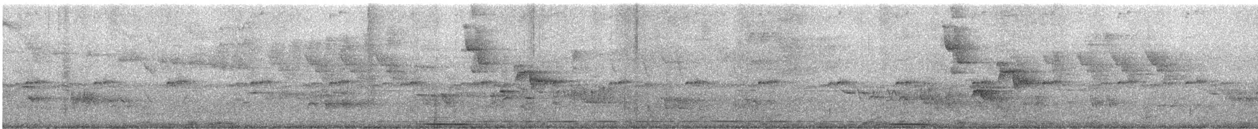Plain-backed Antpitta - ML638614871