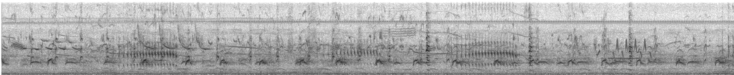 オオハシアジサシ - ML638615047