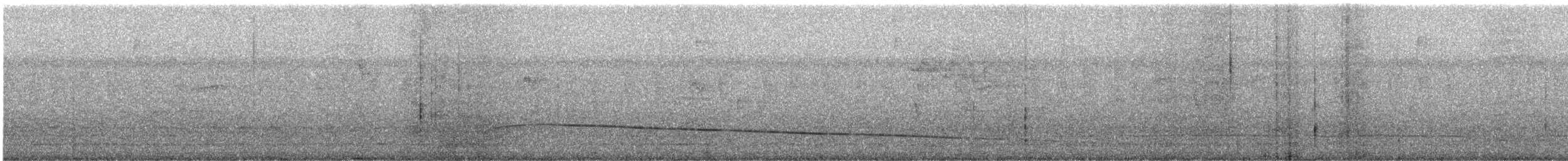 Hocco de Daubenton - ML638615345