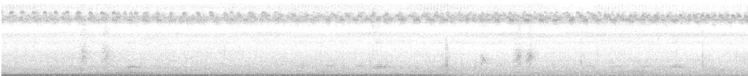tanımsız karga (Corvus sp.) - ML63861631