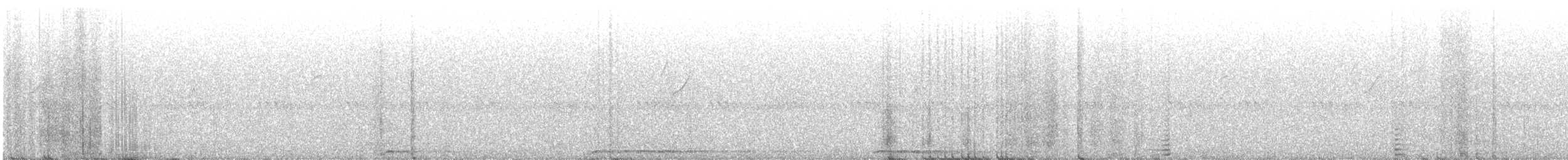 Spotted Owl - ML638616975