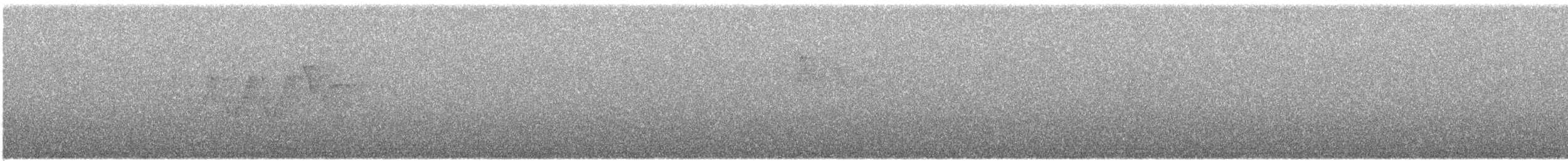 Magnolia Warbler - ML638617822