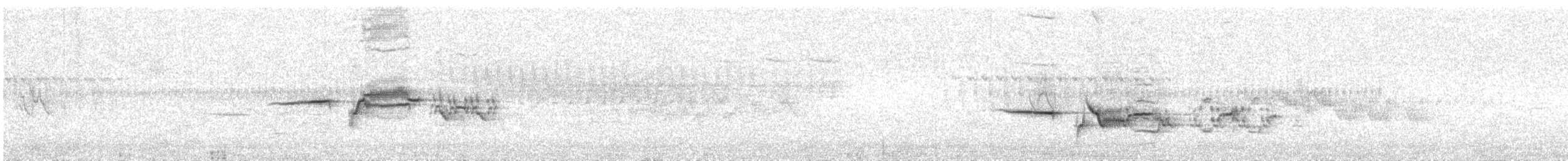 Hermit Thrush - ML638617921
