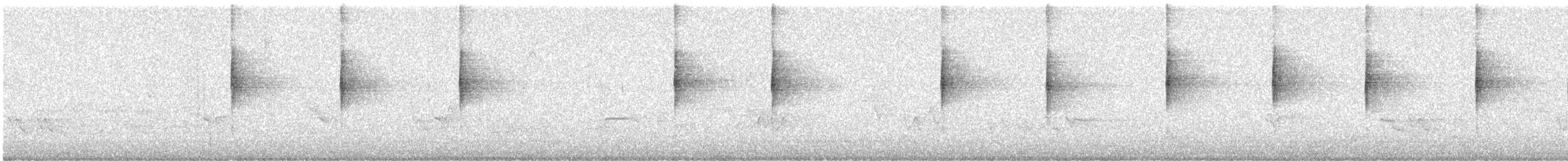 MacGillivray's Warbler - ML638618238