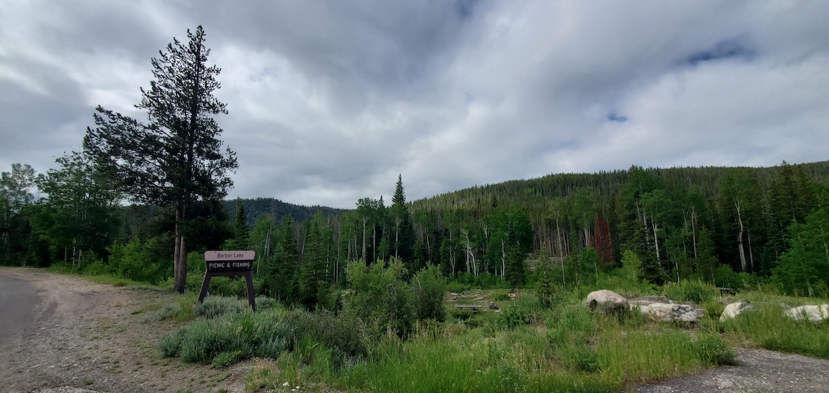 null - ML638619062
