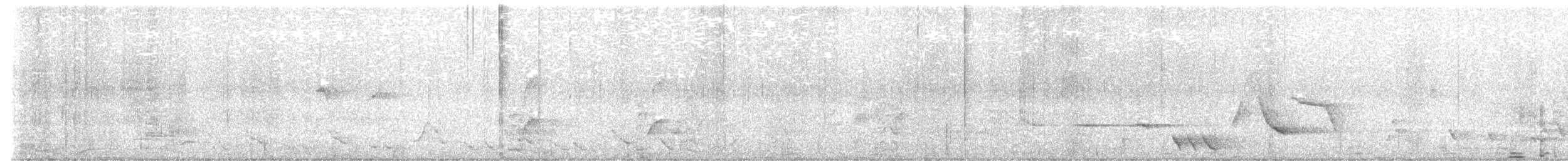 Superb Lyrebird - ML638619675
