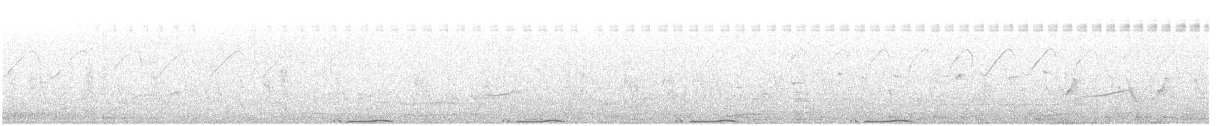 Rhynchée peinte - ML638622978