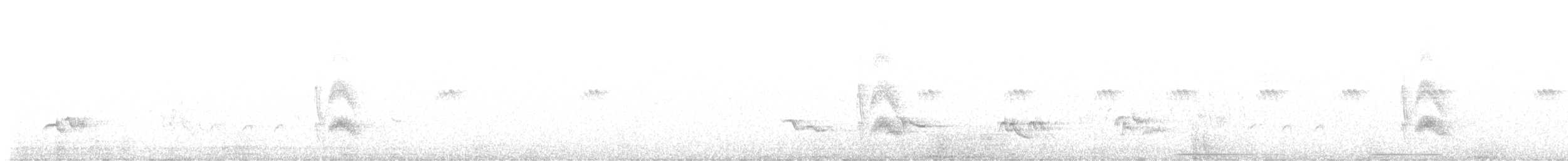 Cassin's Kingbird - ML638623718