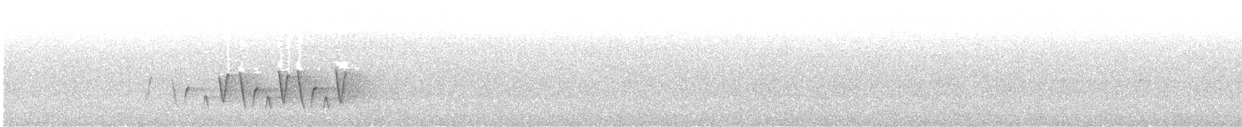 Connecticut Warbler - ML638624948