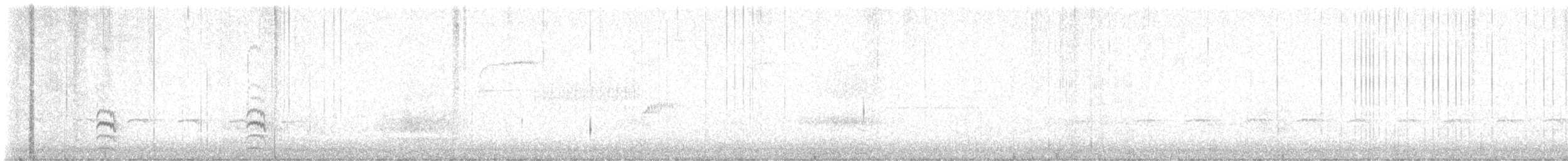 Weißbrustkleiber (aculeata/alexandrae) - ML638626317