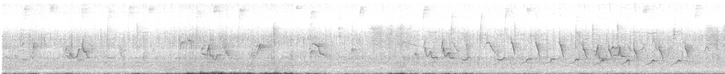 Vireo sp. - ML638627605