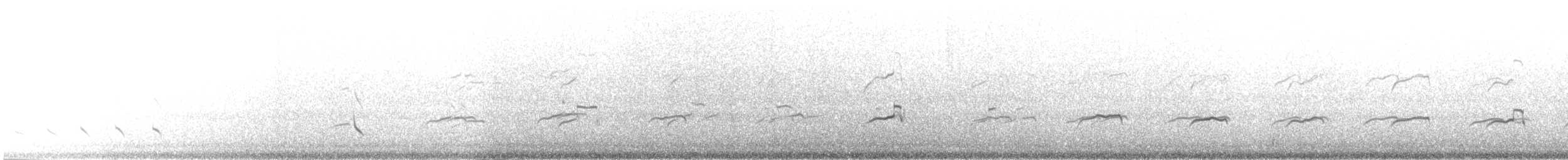 Falco pescatore (haliaetus) - ML638628375