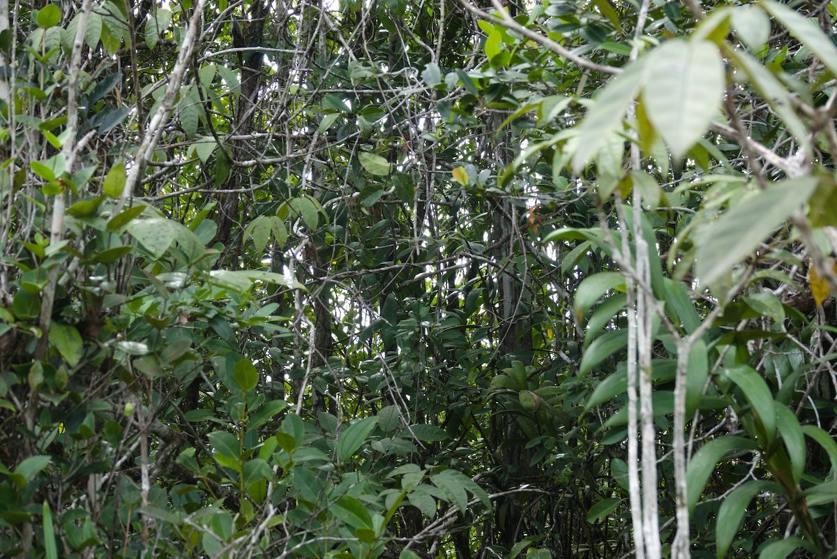 null - ML638628488