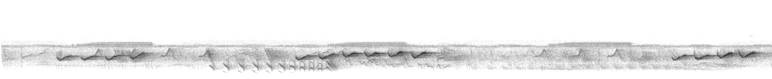 South American Leaftosser - ML638629443