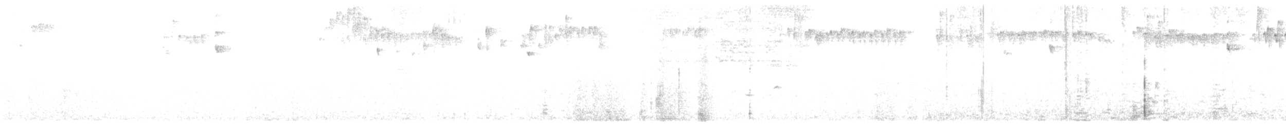 hvitsideblomsterborer - ML638630120