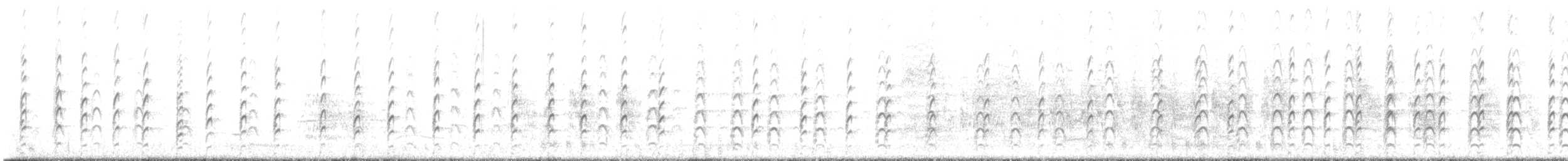 Schwarznacken-Stelzenläufer - ML638631019