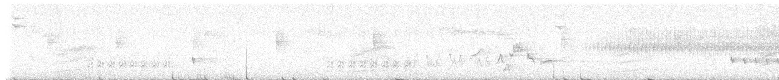 Weißbrustkleiber - ML638632165
