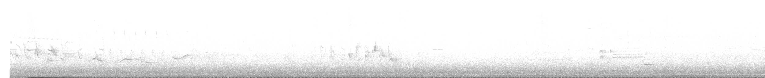 Sommerkardinal - ML638632995
