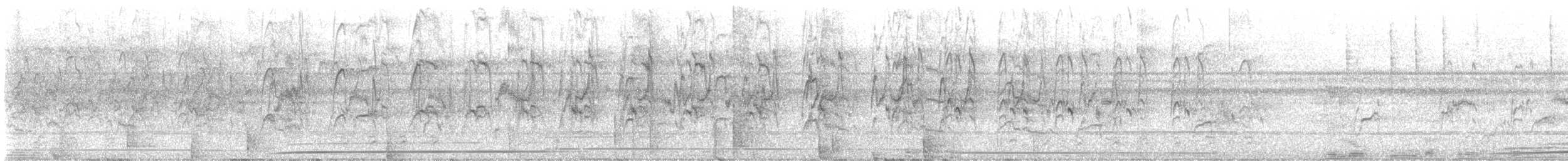 Coyote - ML638633104