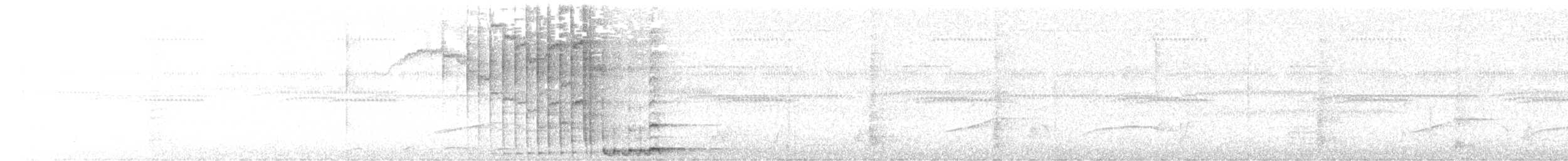 チャバラオオツリスドリ - ML638634364