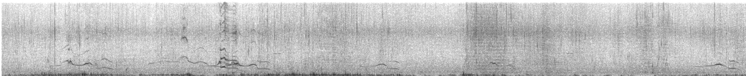 Chilean Skua - ML638635421