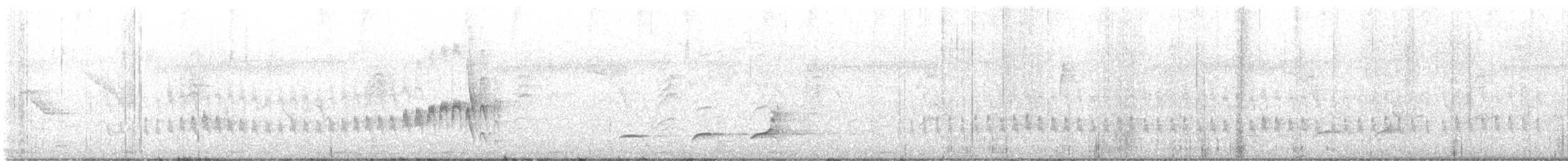 Graubraun-Kleintyrann (incomtus/eremonomus) - ML638636103