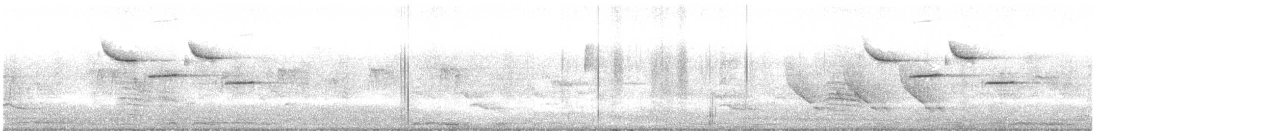 Carolina Chickadee - ML638636260
