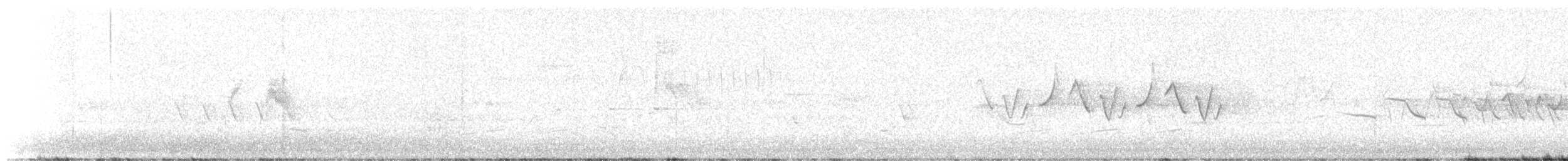 Blackpoll Warbler - ML638636309