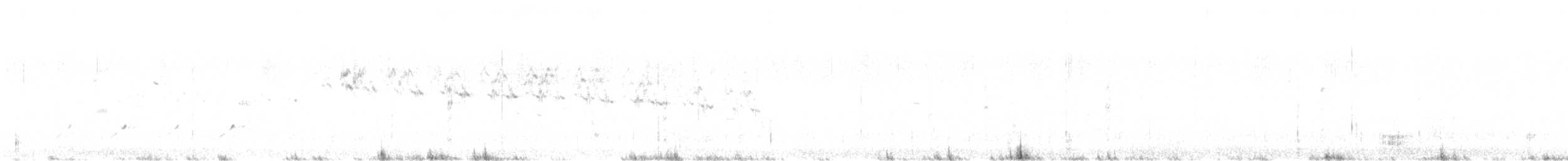 Sprague's Pipit - ML638636335