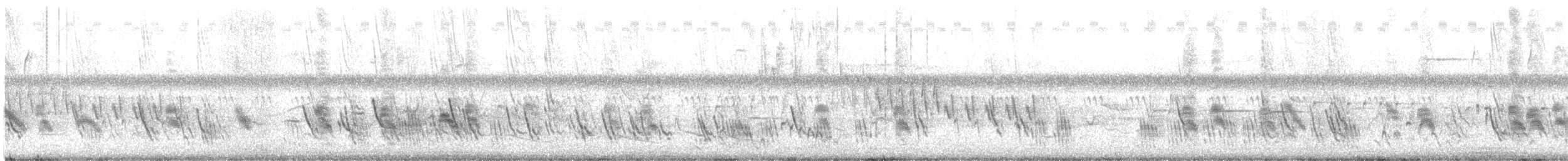Purple Martin - ML638637155