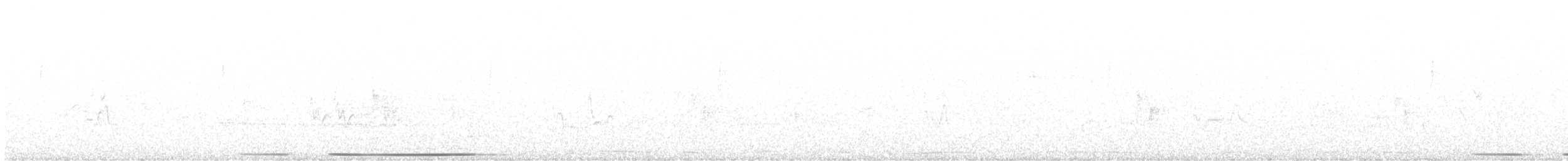 White-tipped Dove - ML638637957