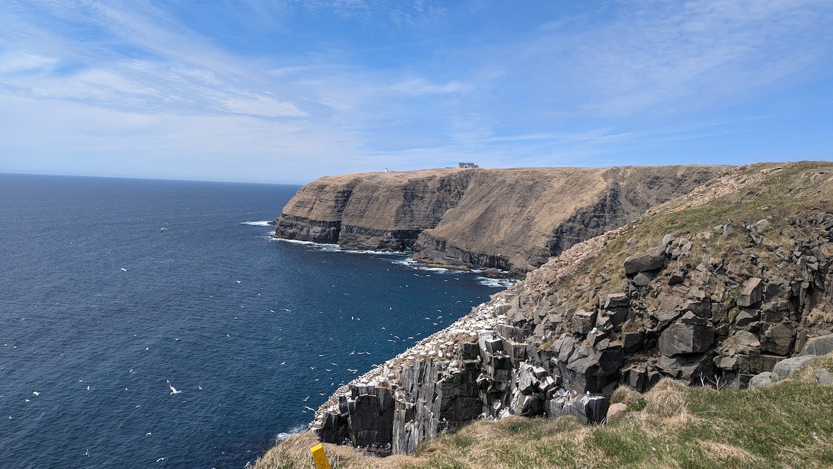 null - ML638638891