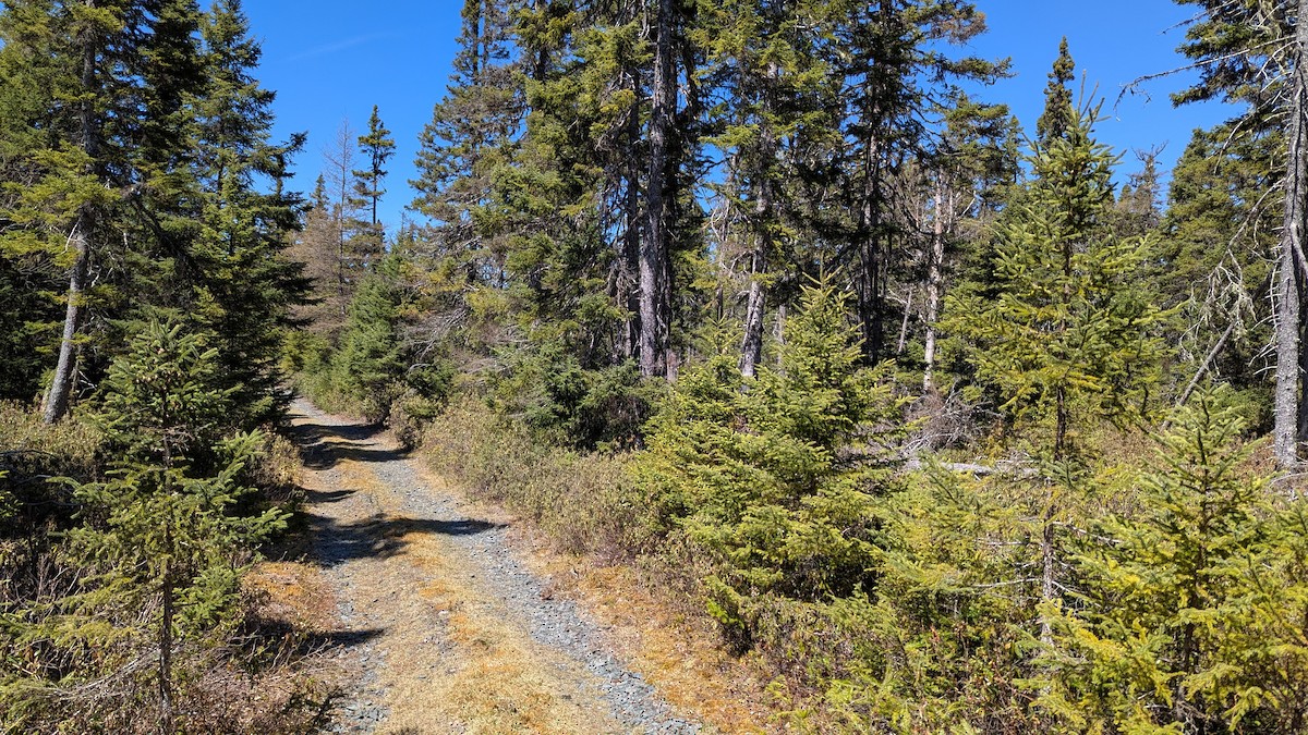 null - ML638639111