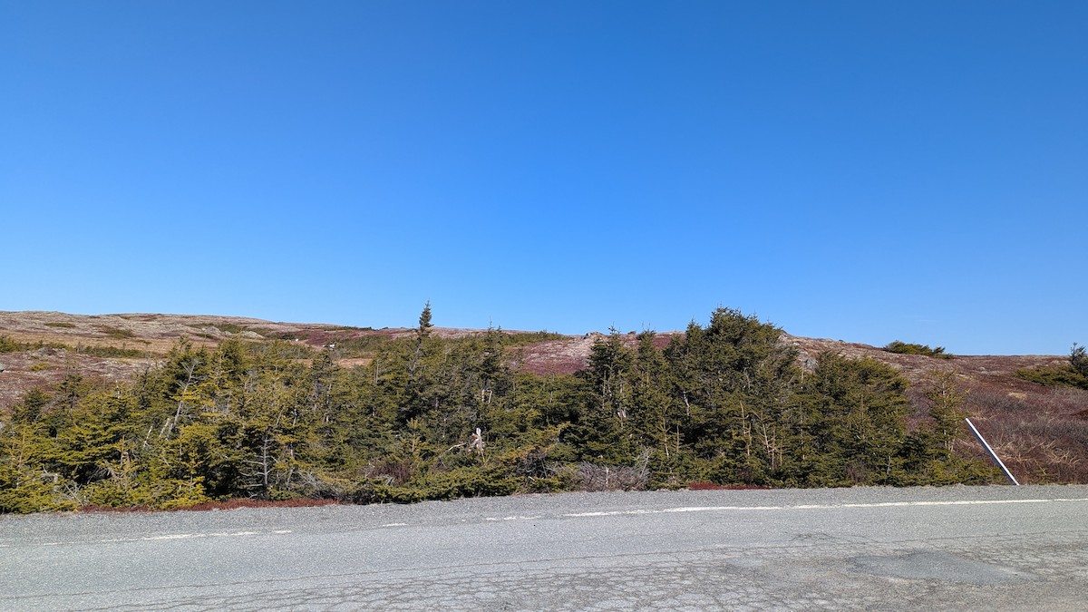 null - ML638639166