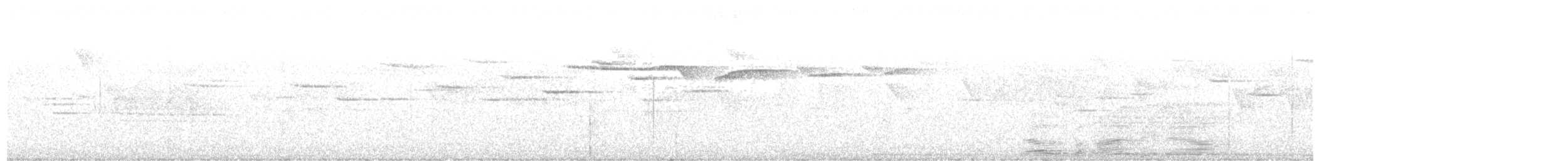 שכווי יערות - ML638639635