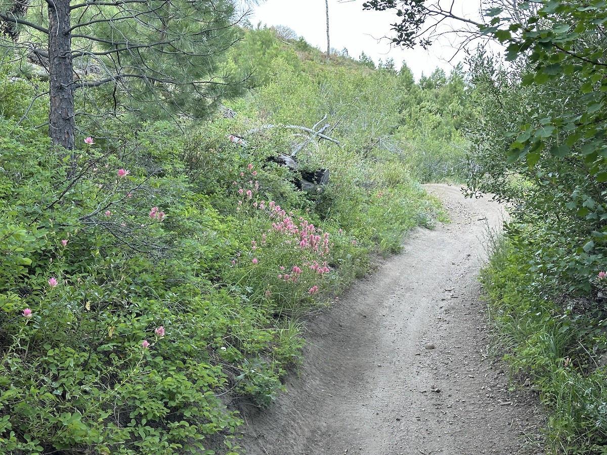 null - ML638640611