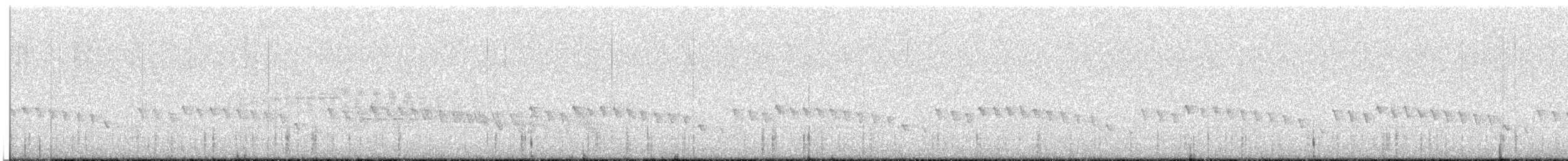 Chatham Islands Gerygone - ML638641715