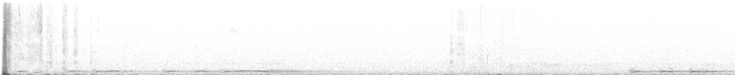 Chouette rayée - ML638641817