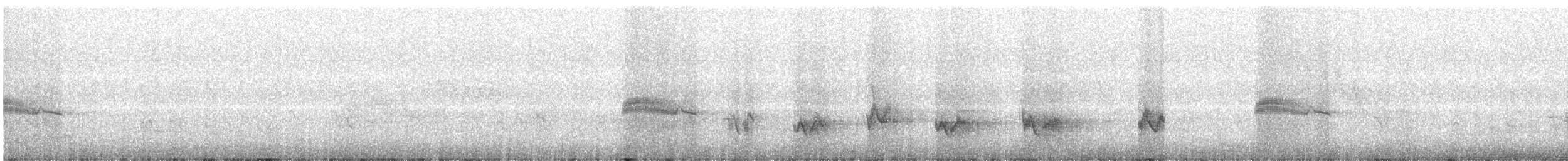 Western Wood-Pewee - ML638642502