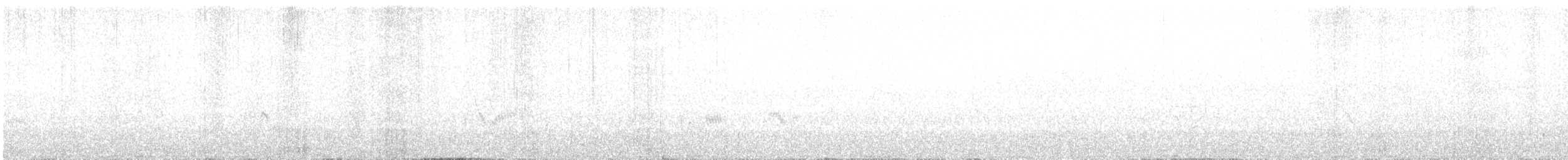Vireo sp. - ML638644172