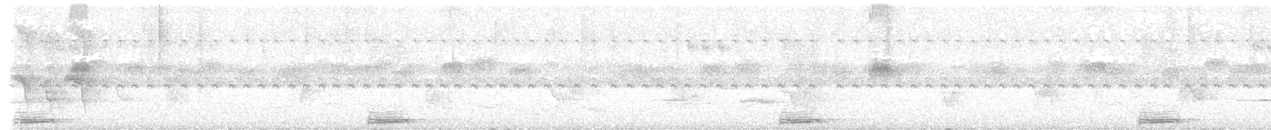 Turquoise-browed Motmot - ML638644911