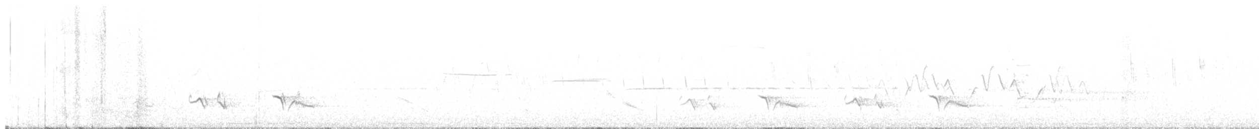 Sedge Wren - ML638645096