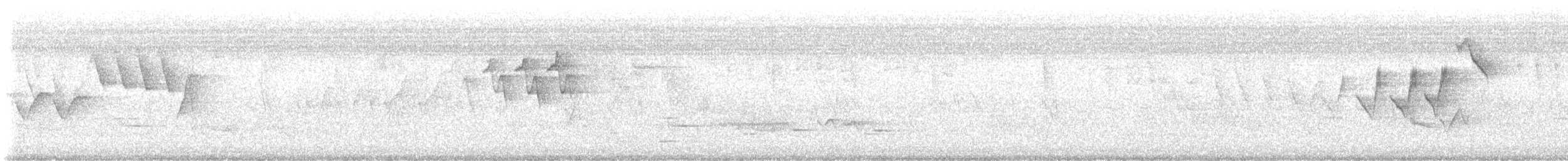 American Redstart - ML638645420